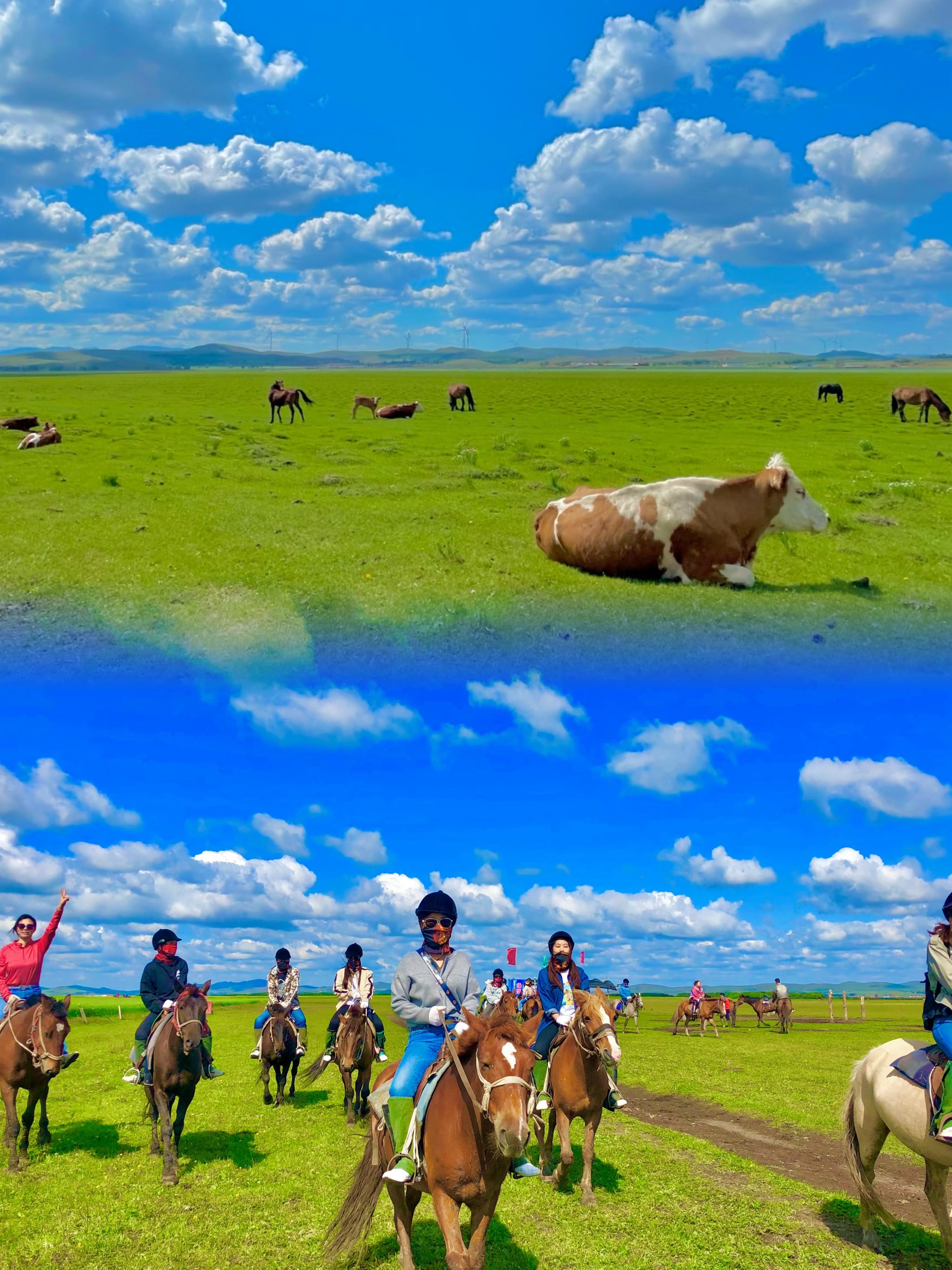 关于草原骑马表演赛,传统文化与运动融为一体的信息 关于草原骑马表演赛,传统文化与运动融为一体的信息