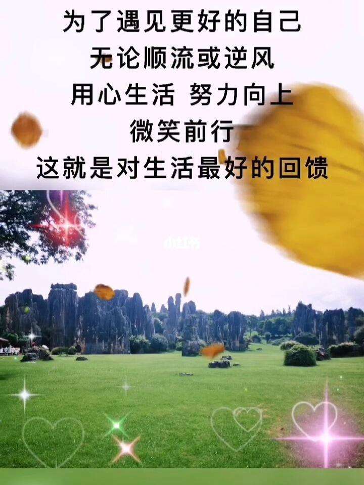 爱游戏体育（AYX）官方APP下载-包含逆风微笑：在困境中坚守的运动员精神的词条