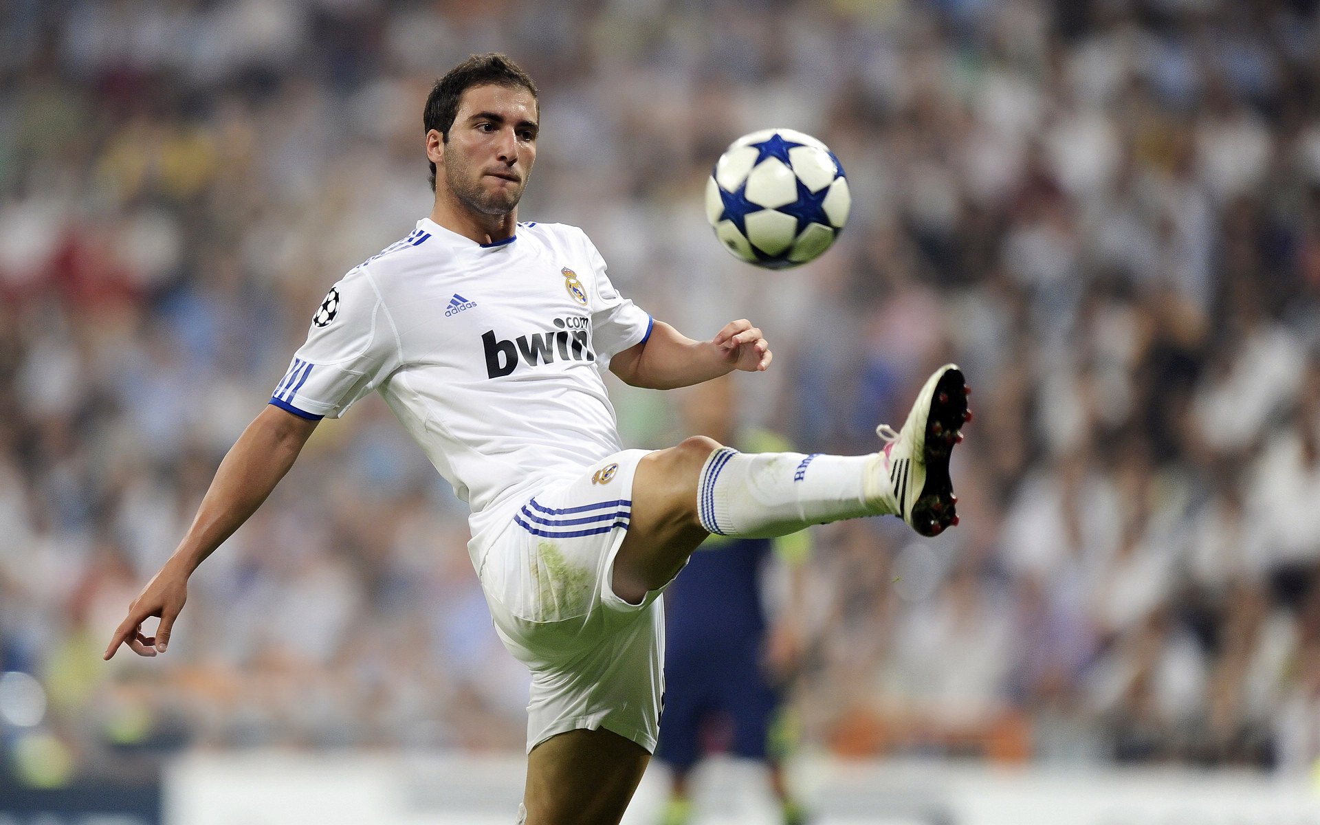 “投票榜单:最受期待的明星比赛”,明星排行投票